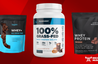 Greatest Whey Protein Powders of 2025