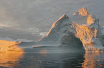 Rising Seas May Displace Thousands and thousands, Triggering World Migration Disaster, Research Warns