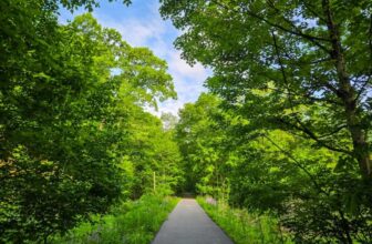 The Little Issues Publication #471 – Life, laughter, and plenty of nice meals!