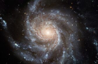 Does Gentle Touring By means of Area Put on Out?