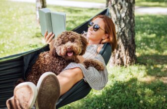 Easy methods to Make Relaxation Really feel Productive (So You Really Do It)