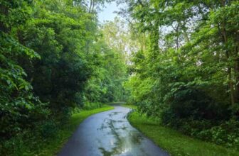 The Little Issues E-newsletter #472 – Life, laughter, and many nice meals!