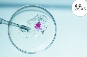 When Will Genetically Modifying Our Kids Go Mainstream?