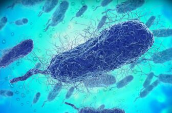 Flesh-Consuming Micro organism Have Already Killed 4 Folks in Florida This 12 months