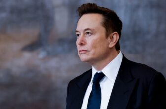 Elon Musk’s New Software program Firm Is the Reverse of Microsoft