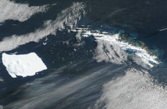 The World’s Greatest Iceberg Is Lastly Crumbling