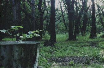 Hideo Kojima’s ‘P.T.’ Demo is Serving to Japanese Youngsters Be taught English